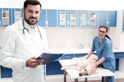 Dezinfekce veterinárních ordinací, ambulancí a příbytků a pelíšků pro zvířata Dezinfekce veterinárních ordinací, ambulancí a příbytků a pelíšků pro zvířata