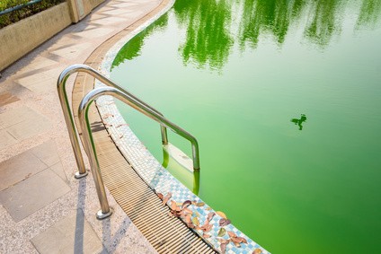 Zelená voda v bazénu